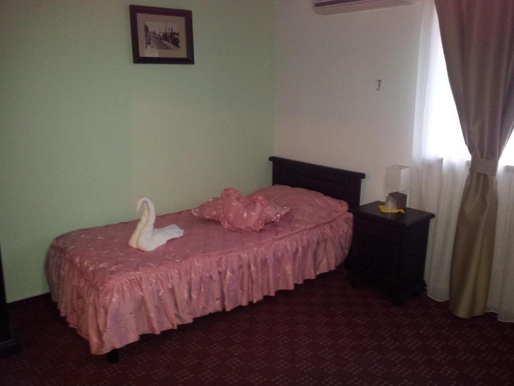 Pension Casa Sibiana Сулина Екстериор снимка